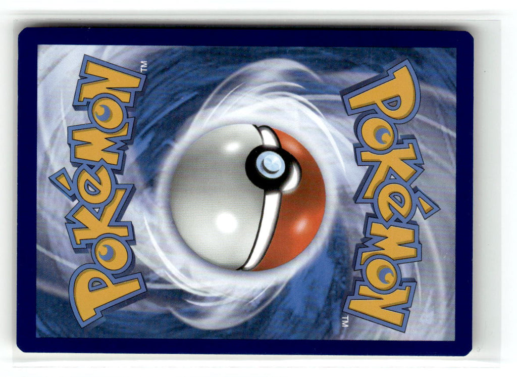 Charizard (Back)