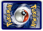 Dark Dragonair (Back)