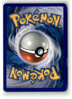 Cofagrigus (46) (Back)