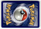 Electrode (Back)