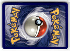 Electrode (Back)