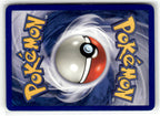 Squirtle (Back)