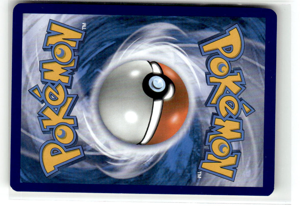 Professor Elm's Lecture (Back)