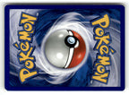 Totodile (Back)