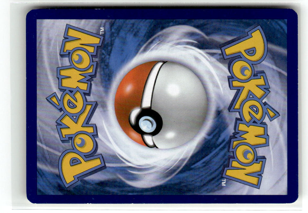 Squirtle (Back)