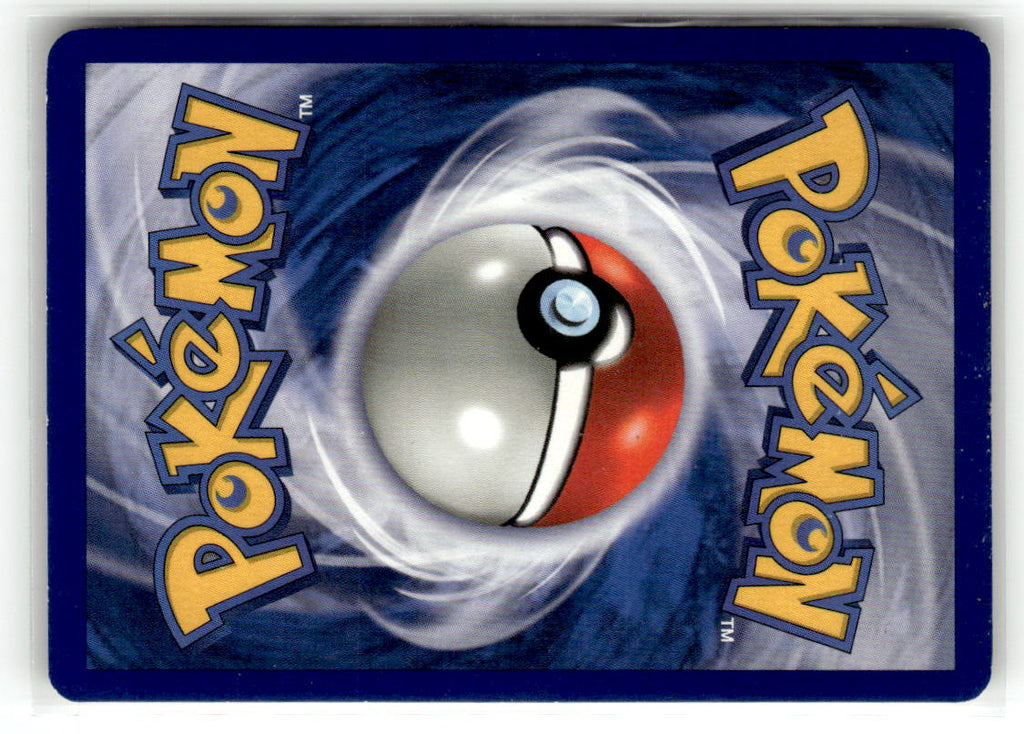 Charizard (Back)