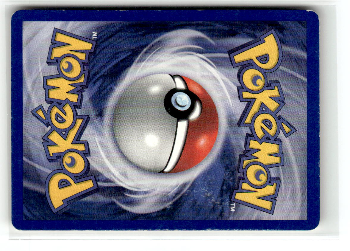 Dark Wartortle (Back)
