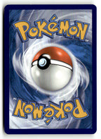 Squirtle (Back)