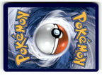 Volo (Back)