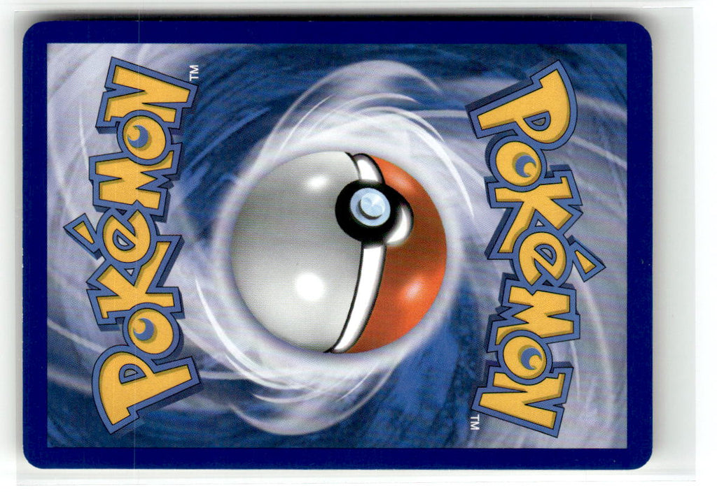 Ledyba (Back)