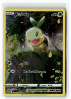 Turtwig