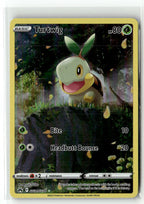 Turtwig