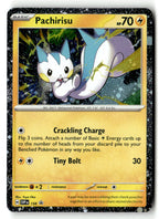 Pachirisu