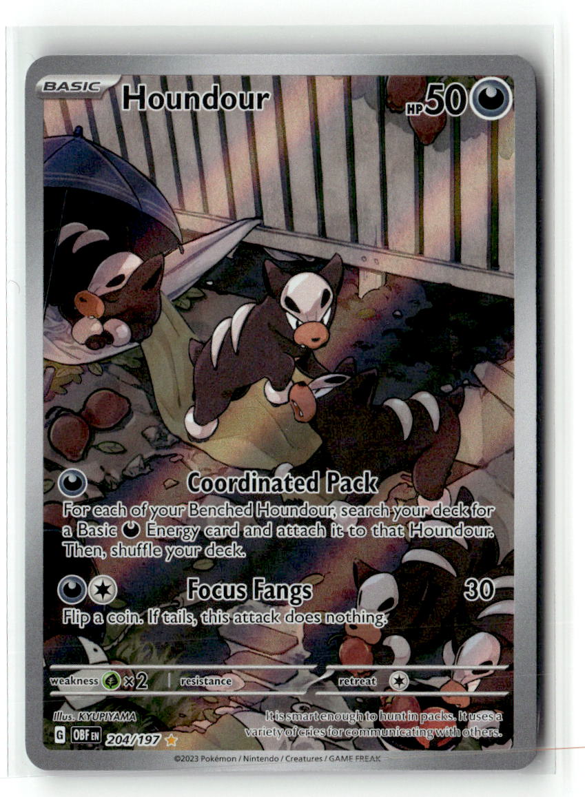 Houndour - 204/197