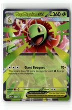 Mega Meganium ex - 034