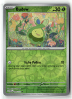 Budew