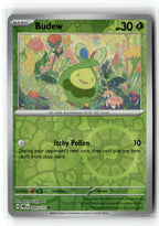 Budew