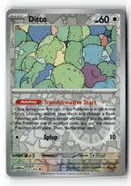 Ditto