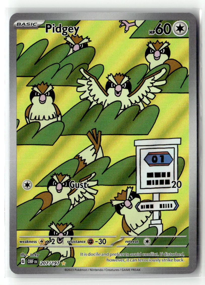 Pidgey - 207/197