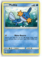 Mudkip (32)