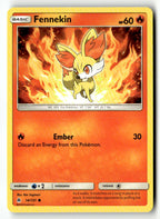Fennekin (14)