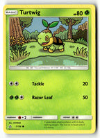 Turtwig (7)