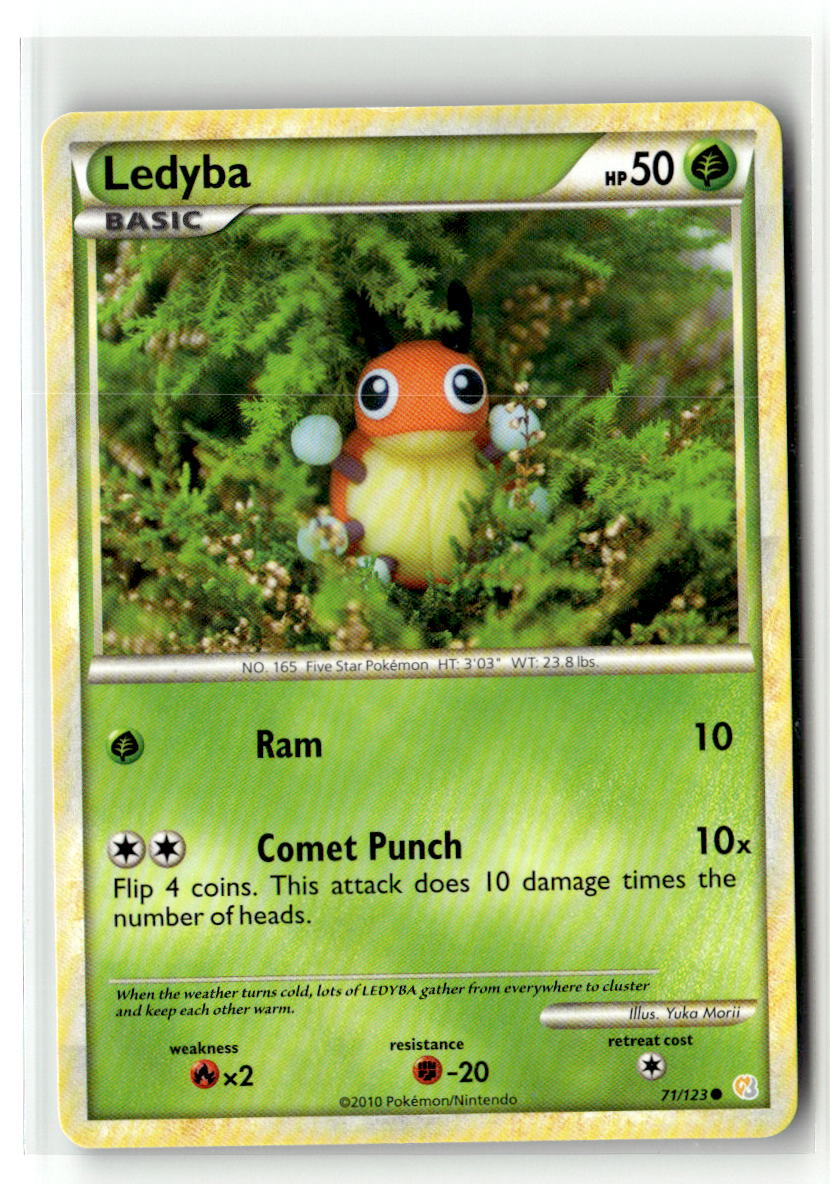 Ledyba