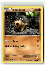 Hippopotas