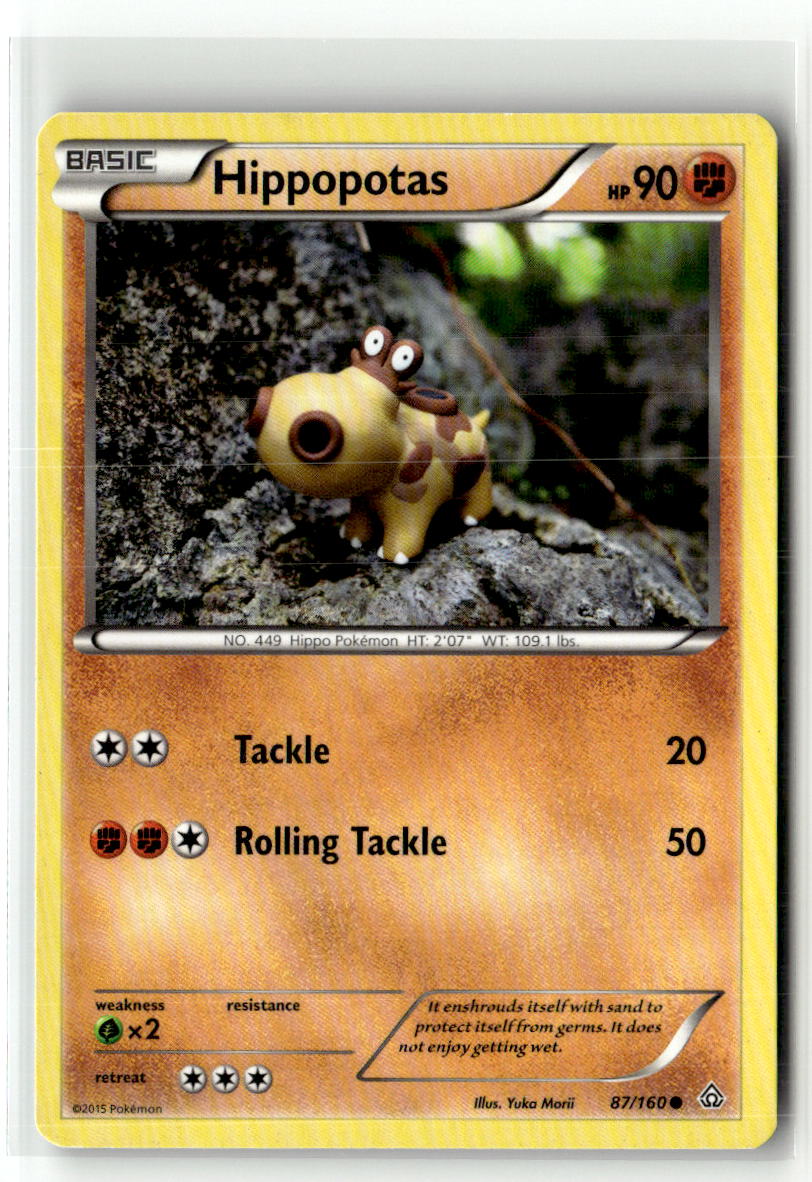 Hippopotas