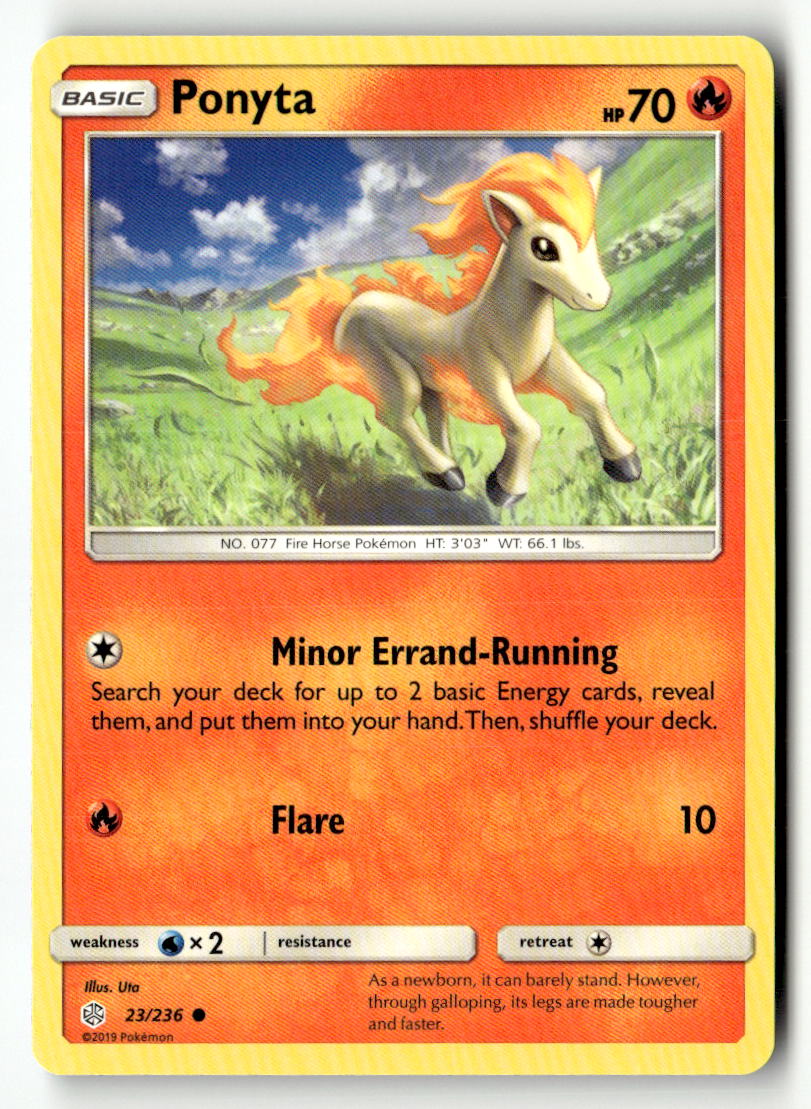 Ponyta